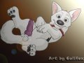 toon_1239573165639.colifox_bolt_tummy04.jpg